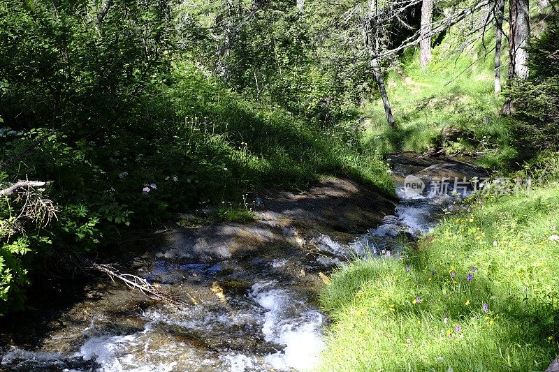 Alpe Devero - Piedmont - Italy报道